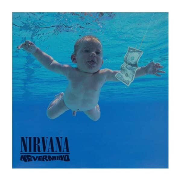 פאזל 500 חלקים- NIRVANA- NEVERMIND