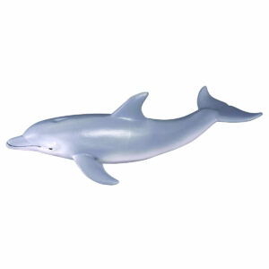 חיות אוקיאנוסים וקרח - דולפין (M)